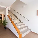 Monte Da Guia בית הארחה הורטה