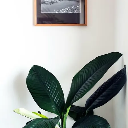 Monte Da Guia 3* Horta (Azores)