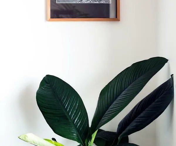 Monte Da Guia 3* Орта